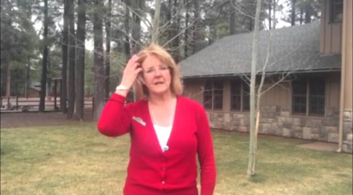 Tricia Jones from Frank Smith & Associates Realty