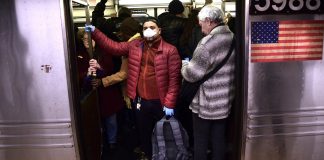 New York State Has Shortage of Dogs to Foster as well as Toilet Paper and Hand Sanitizer to Use