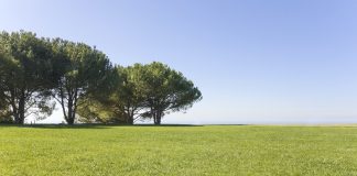 Even the French Are Prioritizing Open Space and Greenery Now