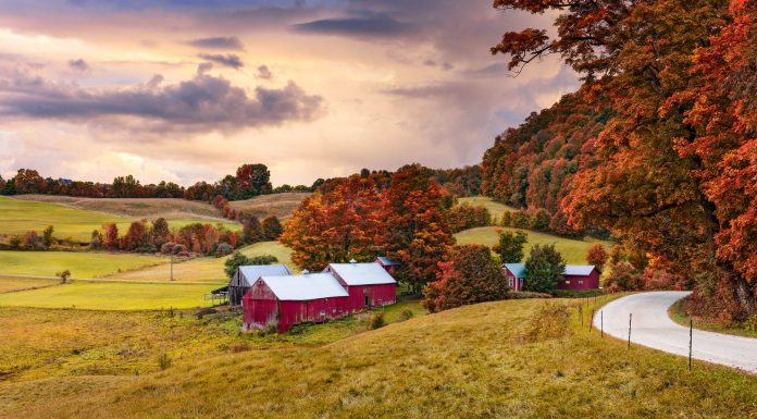 Urbanites Hasten Pace of Searching for Suburban and Rural Homes