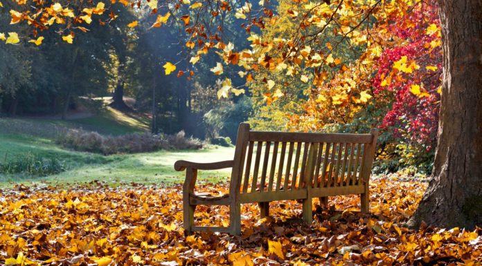 Will Fall’s Global Housing Market Prove To Be Resilient?