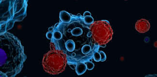 T-Cells Likely Immune to COVID 6 Months After Initial Infection