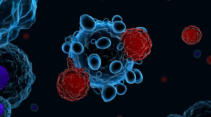 T-Cells Likely Immune to COVID 6 Months After Initial Infection