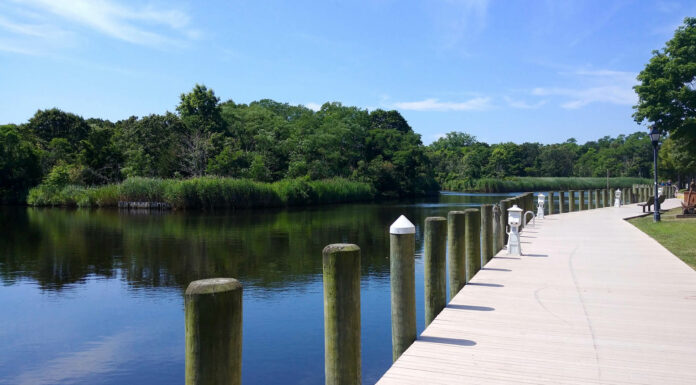 “Regular People” Streaming into North Fork