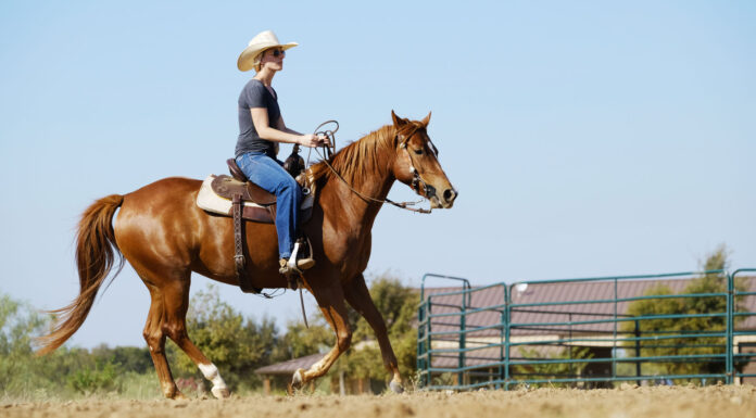 Horse Loving Clients?  Check Out These Southern California Enclaves