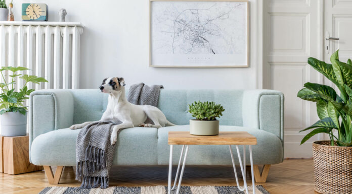 Apartment Rent Increases Starting to Exceed Expectations