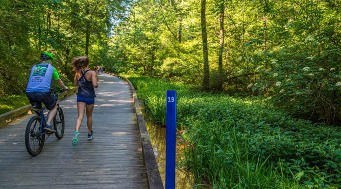 Best & Worst Cities to Be Carless