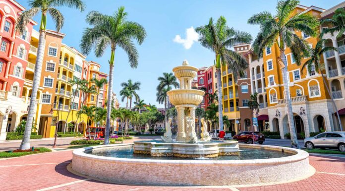 Where Did Everyone Move in the First Half of 2021?