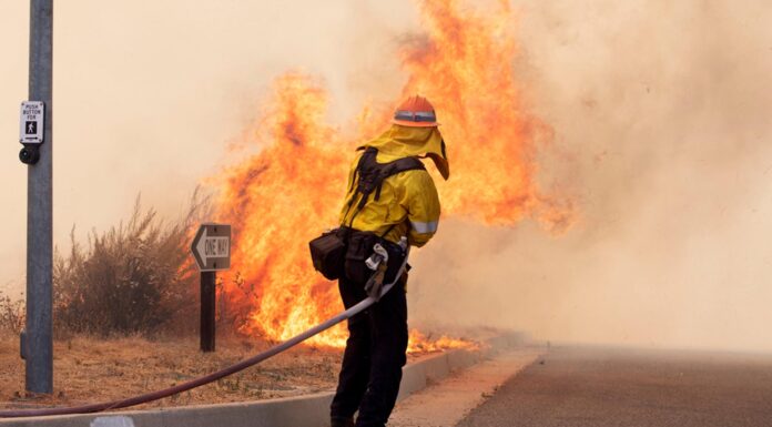 New Online Tool to Estimate Wildfire Risks