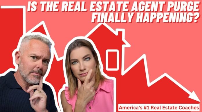 Is The REAL ESTATE AGENT Purge Finally Happening?