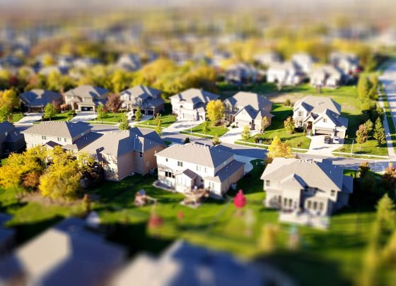 pexels-david-mcbee-1546168